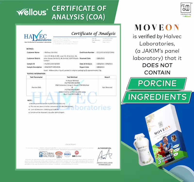 MOVEON_Halvec-certificate_EN