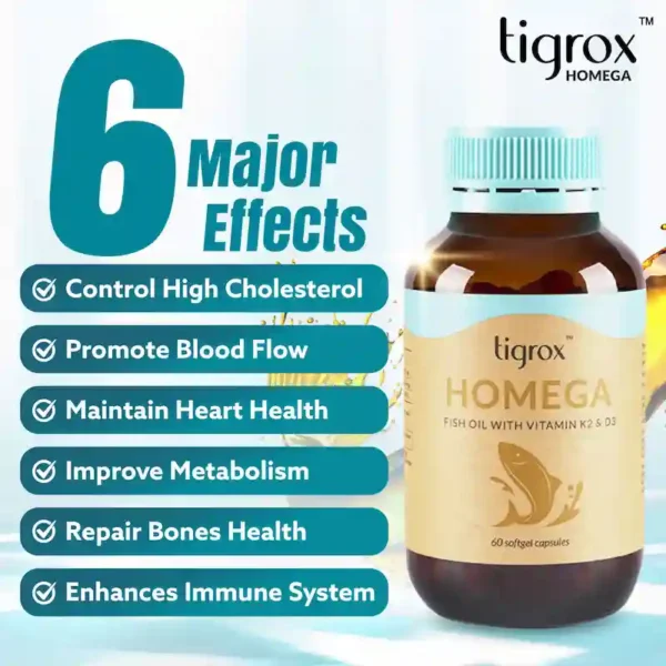 HOMEGA 1 BOX - Image 3