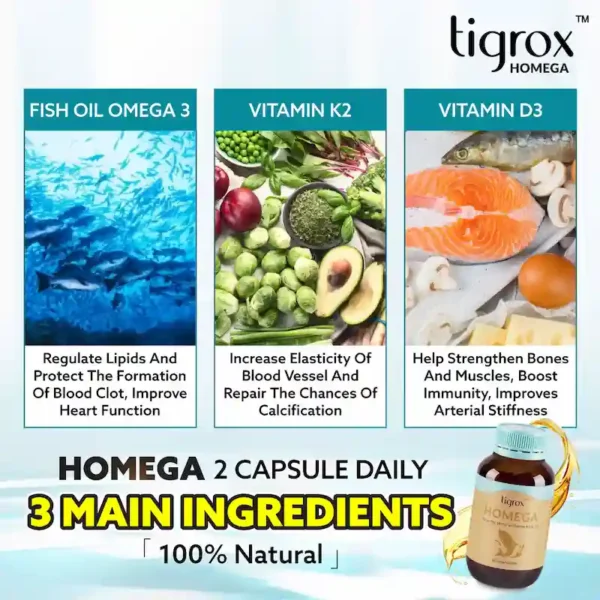HOMEGA 1 BOX - Image 4