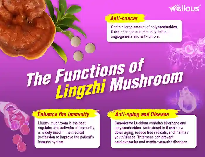 Bio-LingZhi_e-flyer_ENG-06