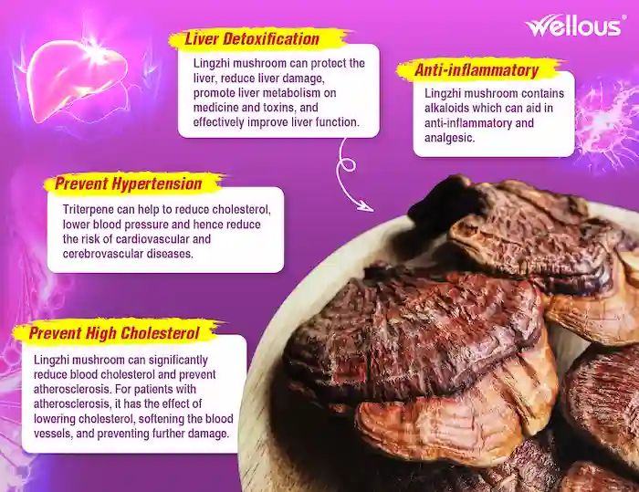 Bio-LingZhi_e-flyer_ENG-07