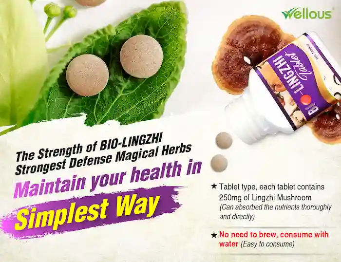 Bio-LingZhi_e-flyer_ENG-11