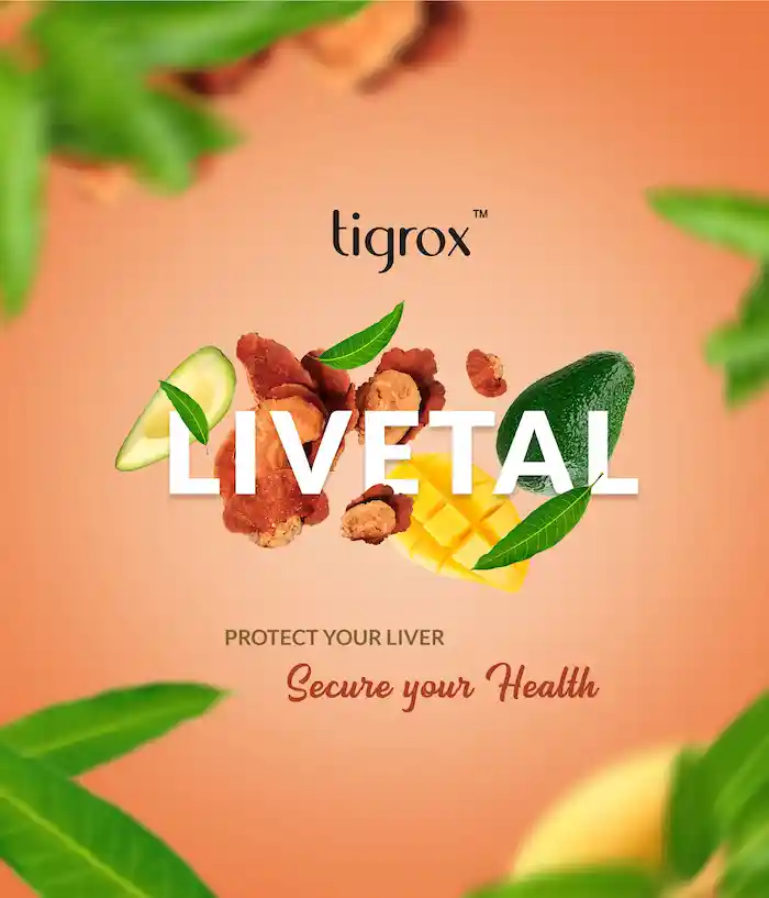 Livetal Eflyer EN 1