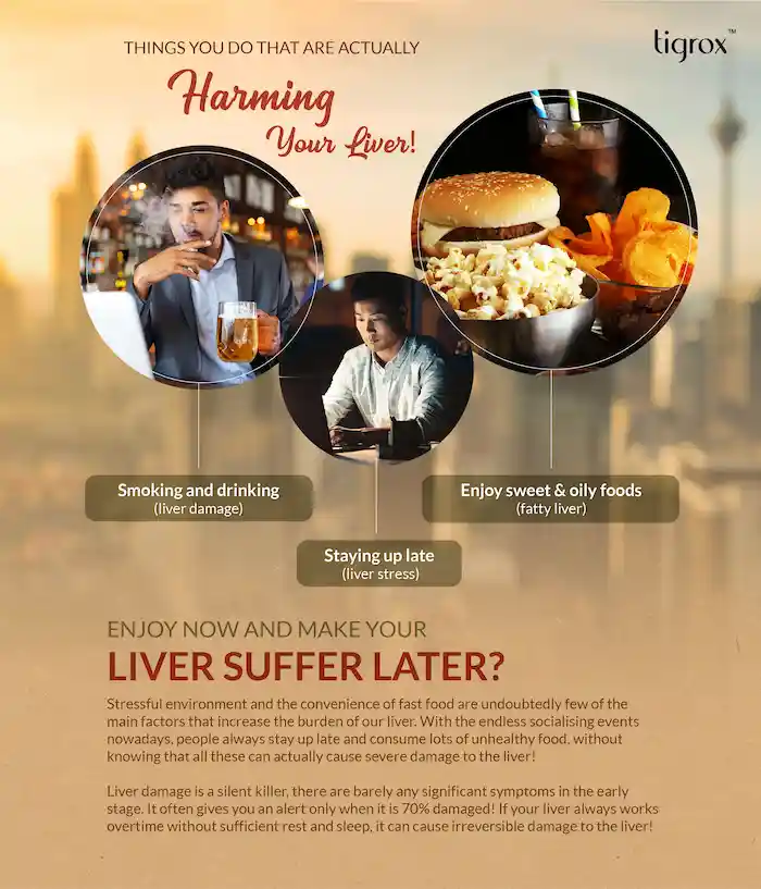 Livetal Eflyer EN 2