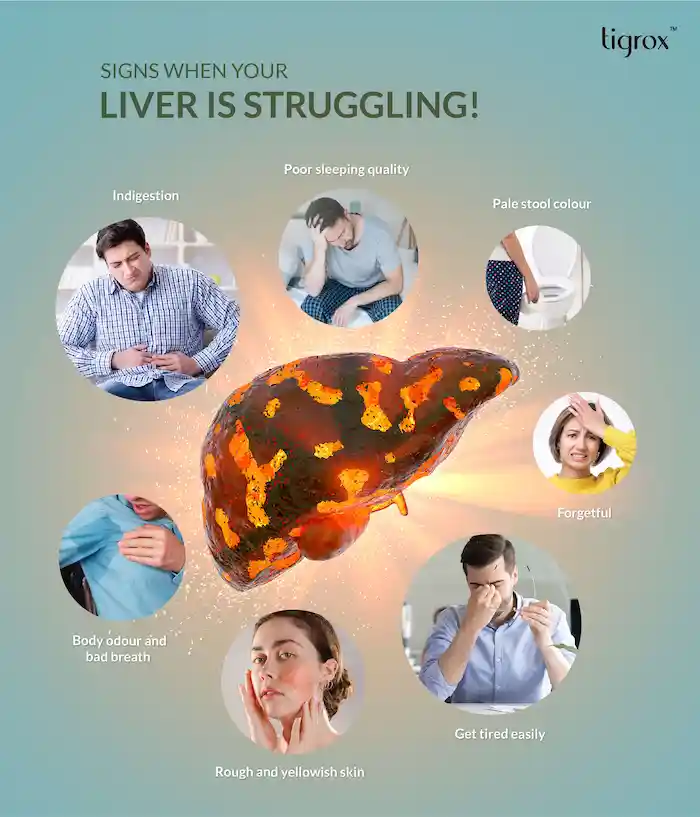 Livetal Eflyer EN 5