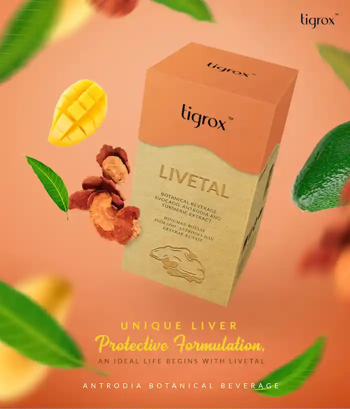 Livetal Eflyer EN 6