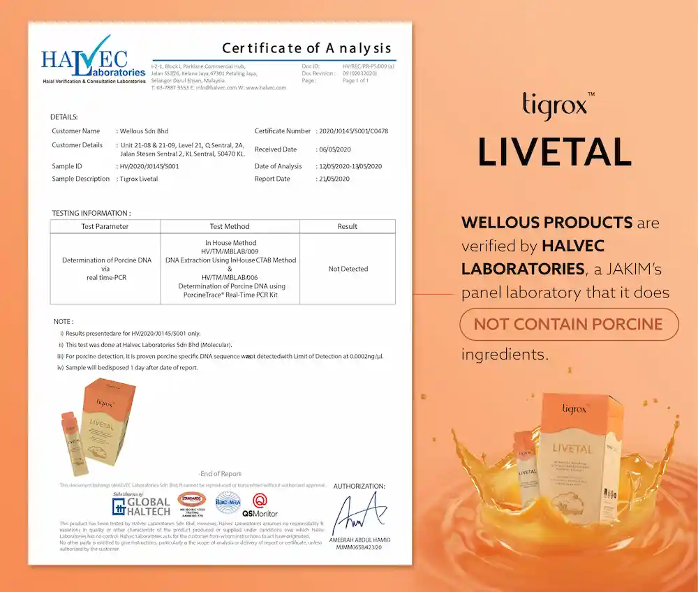 Livetal Halvec ENG