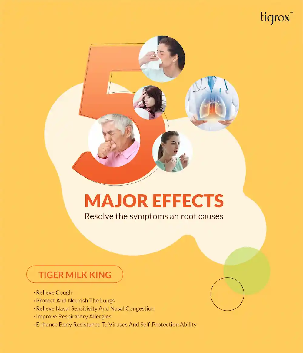 TMK Loquat Eflyer EN 10