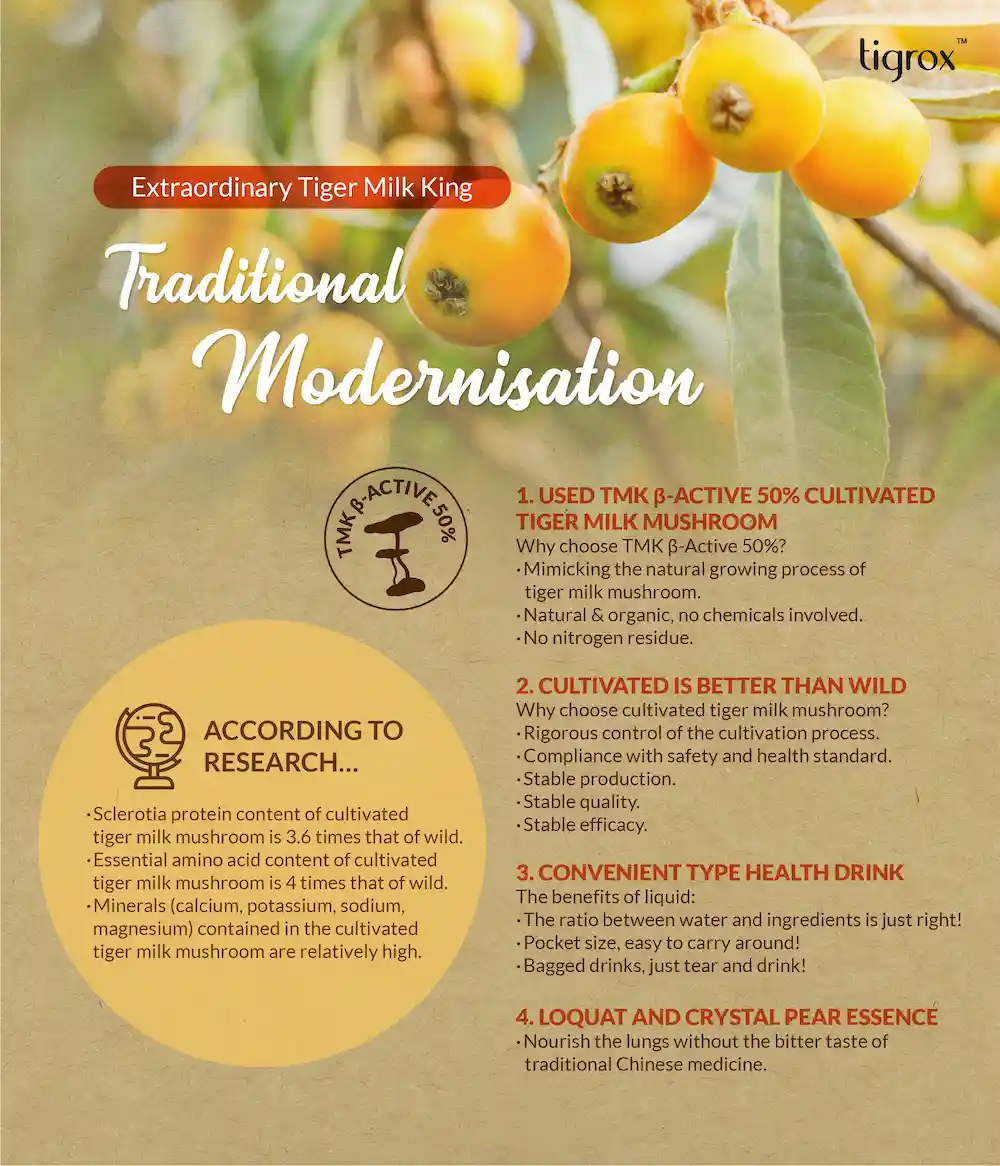 TMK Loquat Eflyer EN 12