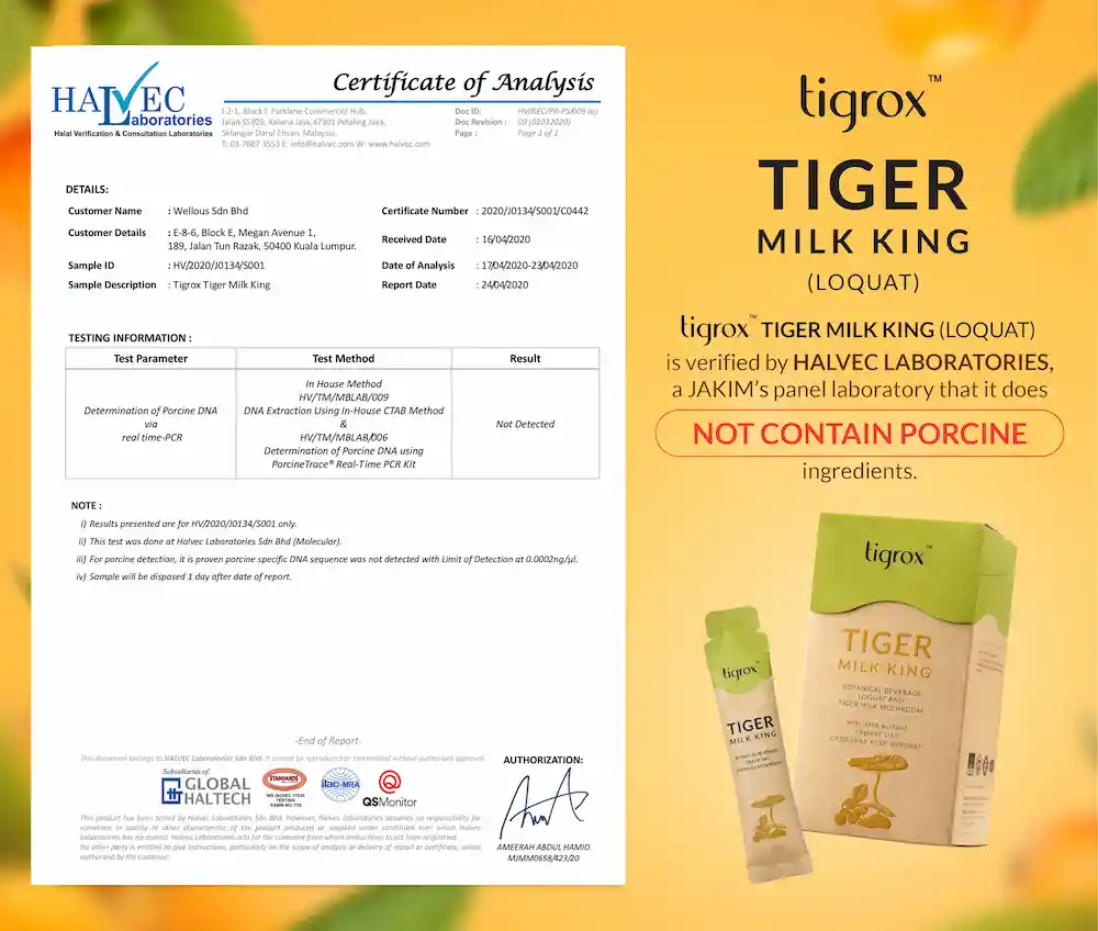 TMK Loquat Halvec EN