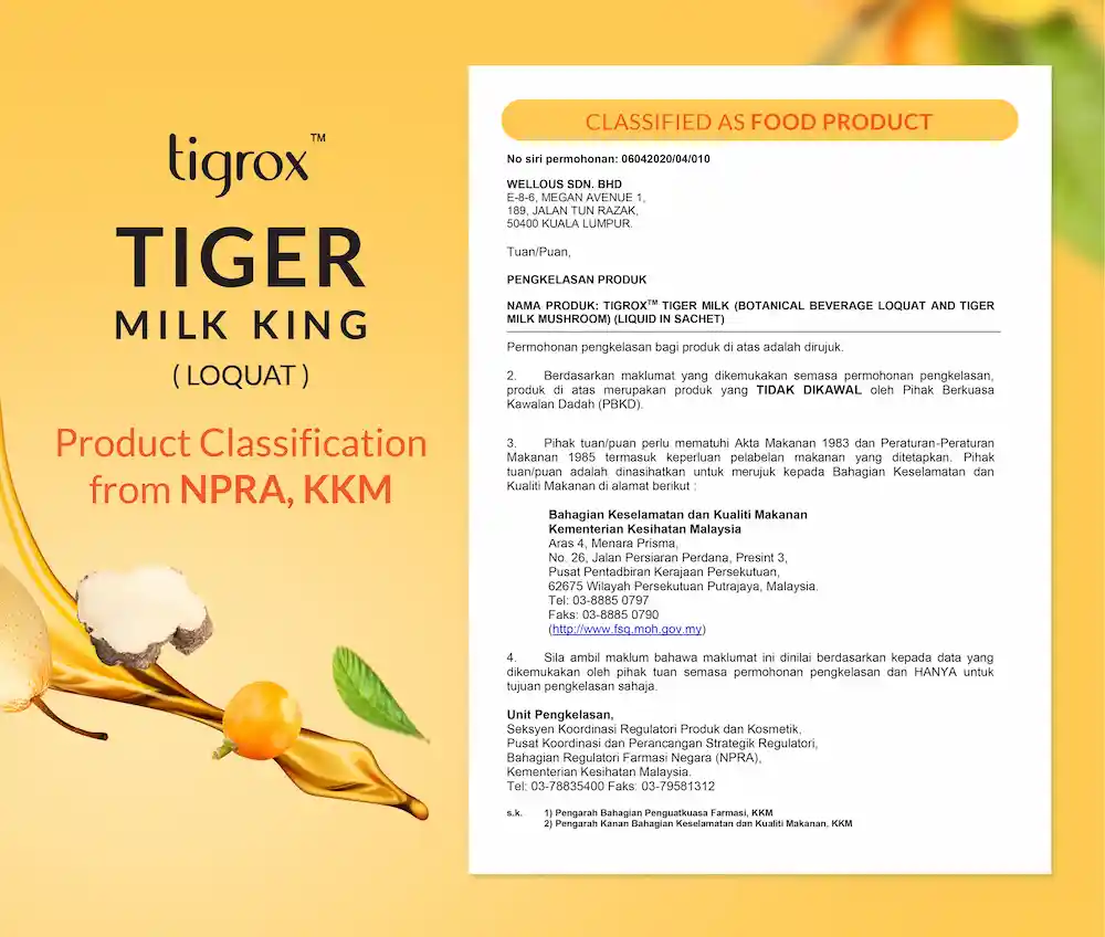 TMK Loquat KKM EN