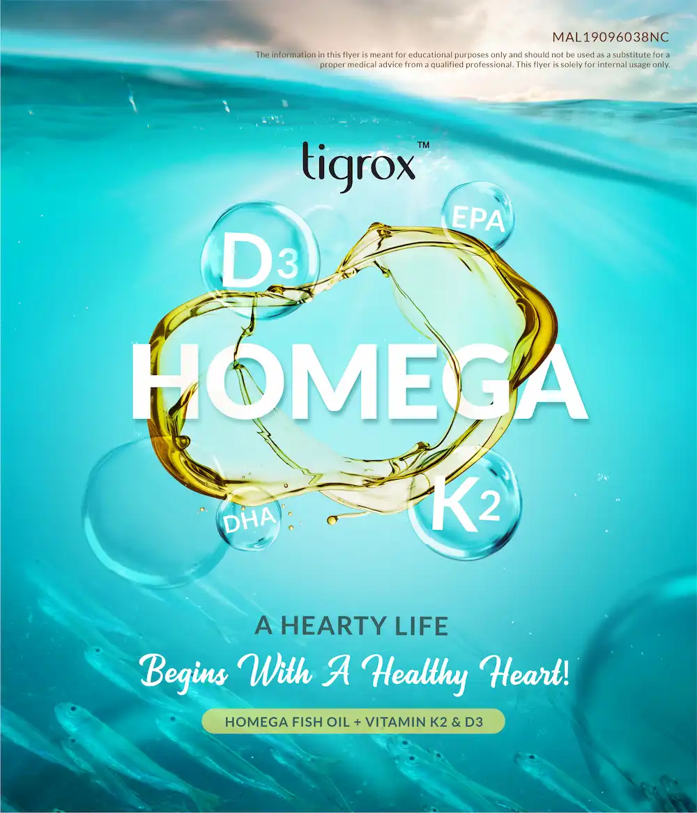 Homega Eflyer EN 1