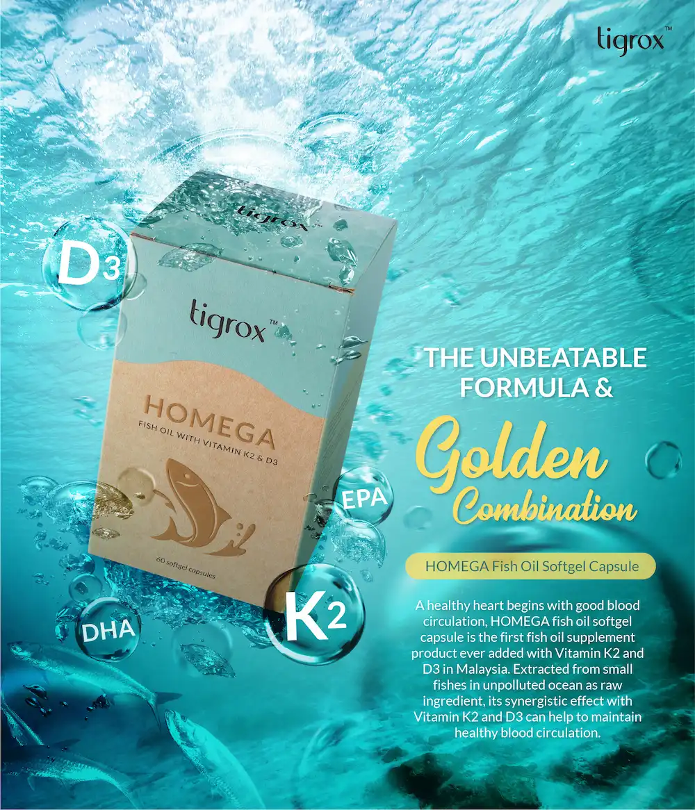 Homega Eflyer EN 10