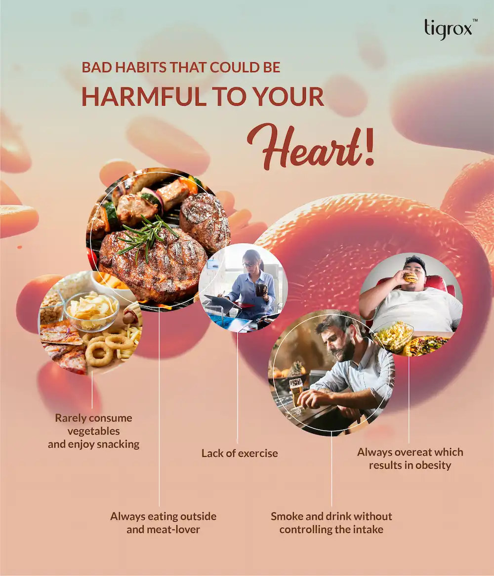 Homega Eflyer EN 4