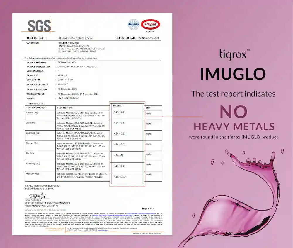 Imuglo COA (No Heavy Metals) EN