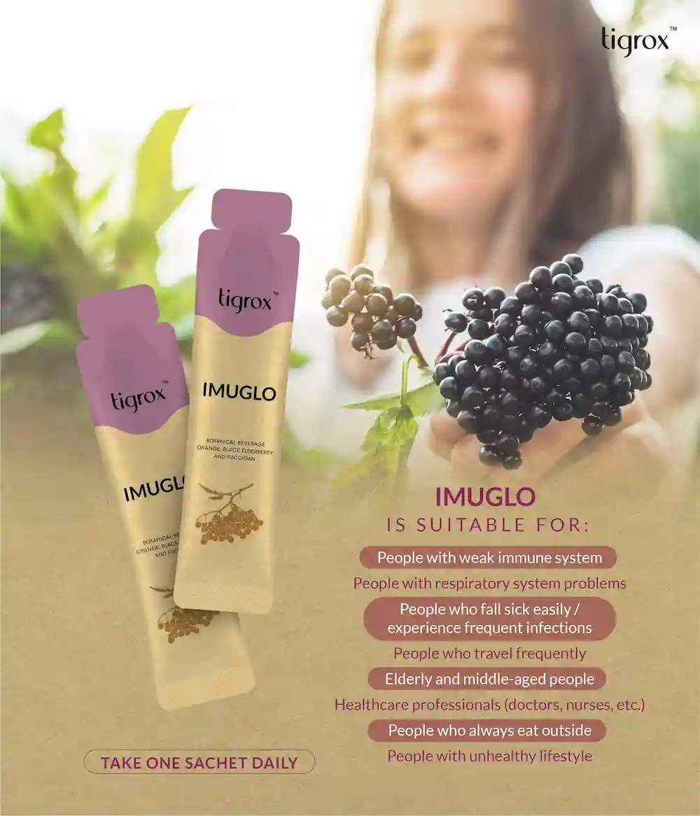 Imuglo Eflyer EN 16