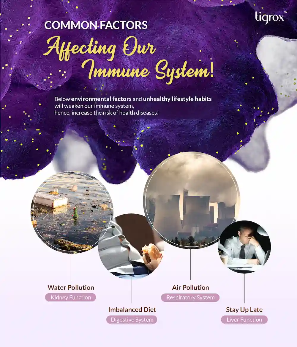 Imuglo Eflyer EN 4