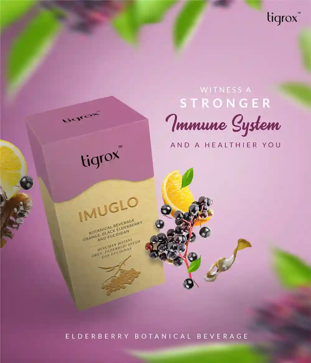 Imuglo Eflyer EN 6