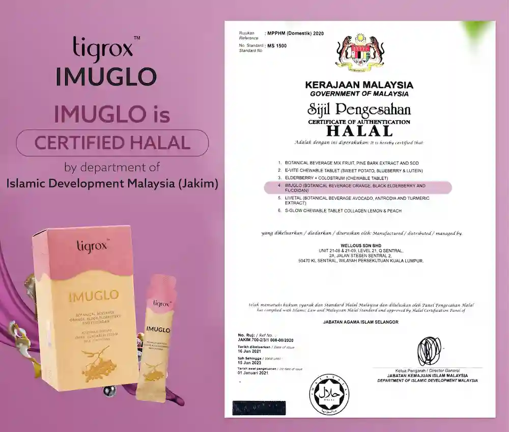 halal (1)